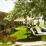 Flora Garden - Adults Only 16 - Couples Concept