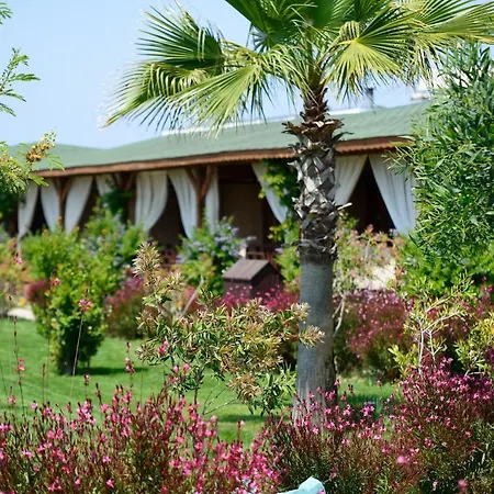 Flora Garden - Adults Only 16 - Couples Concept 5*