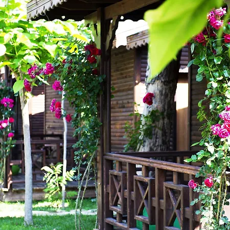 Ośrodek wypoczynkowy Flora Garden - Adults Only 16 - Couples Concept 5*