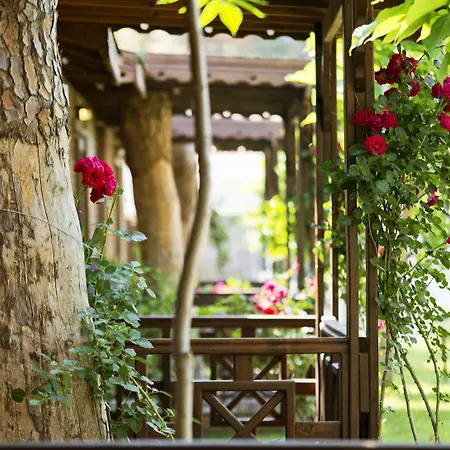 Flora Garden - Adults Only 16 - Couples Concept Üdülőközpont 5*