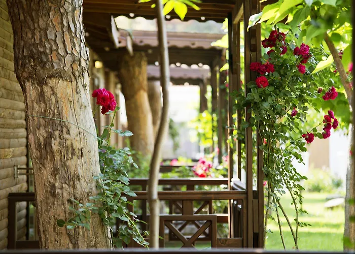 Flora Garden - Adults Only 16 - Couples Concept 度假村 5*