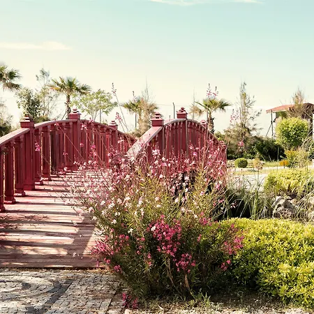 Flora Garden - Adults Only 16 - Couples Concept 5* Kızılot