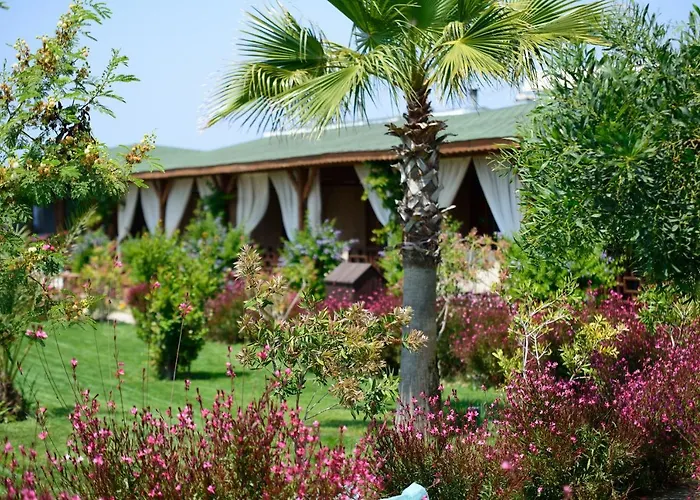 Flora Garden - Adults Only 16 - Couples Concept 5*